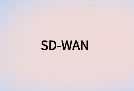 SD-WAN:面向全球敏捷企業(yè)網(wǎng)絡(luò)解決方案